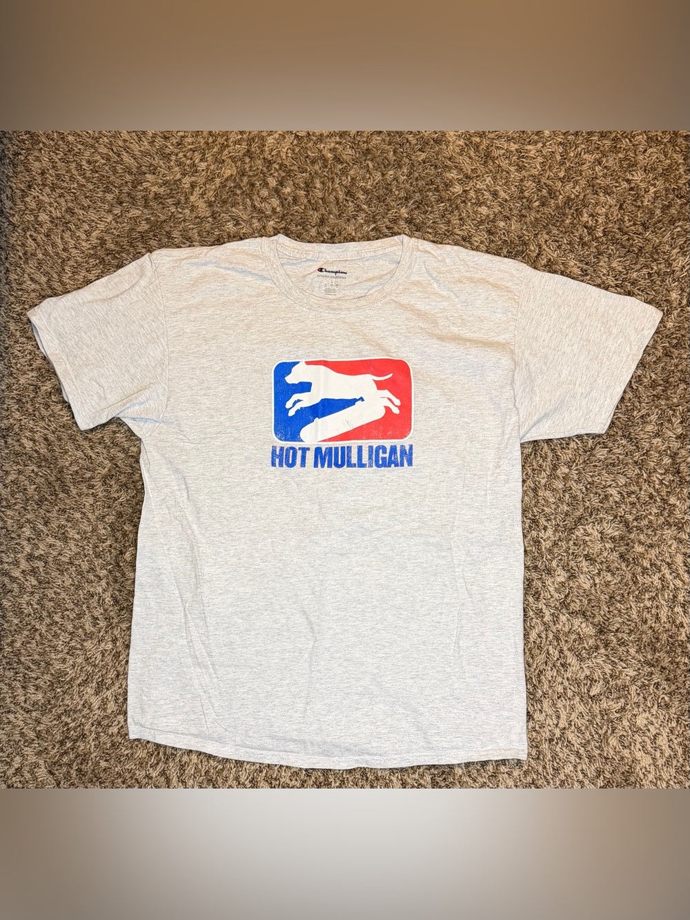 Champion Hot Mulligan Band Tee Shirt Unisex Large Gray Graphic Pop Punk Emo - Picture 2 of 8